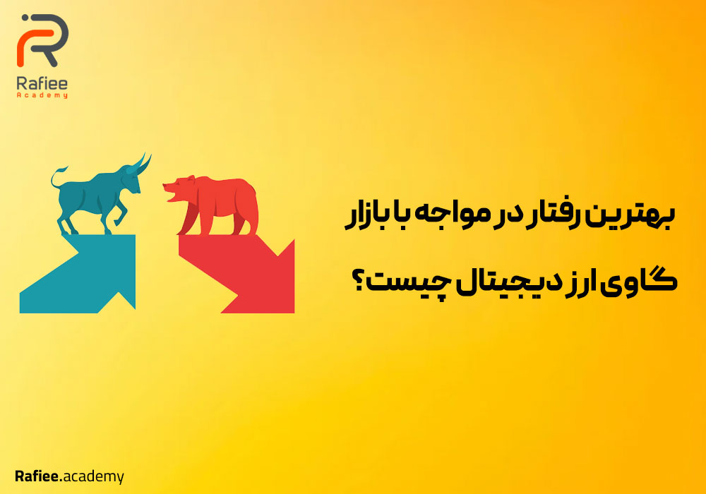 بهترین رفتار در مواجه با بازار گاوی در ارز دیجیتال چیست؟